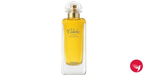 Caleche Fleurs de Mediterranee Hermès for women